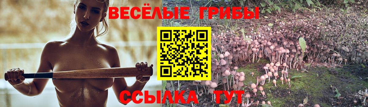 Псилоцибиновые грибы MAGIC MUSHROOMS  Псилоцибиновые грибы мухоморы  Сосновоборск  Вход с VPN 